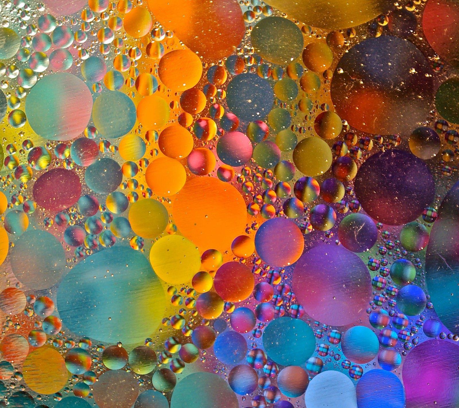 A close up of a mixture of oil and water bubbles (drops, multi colored, water)