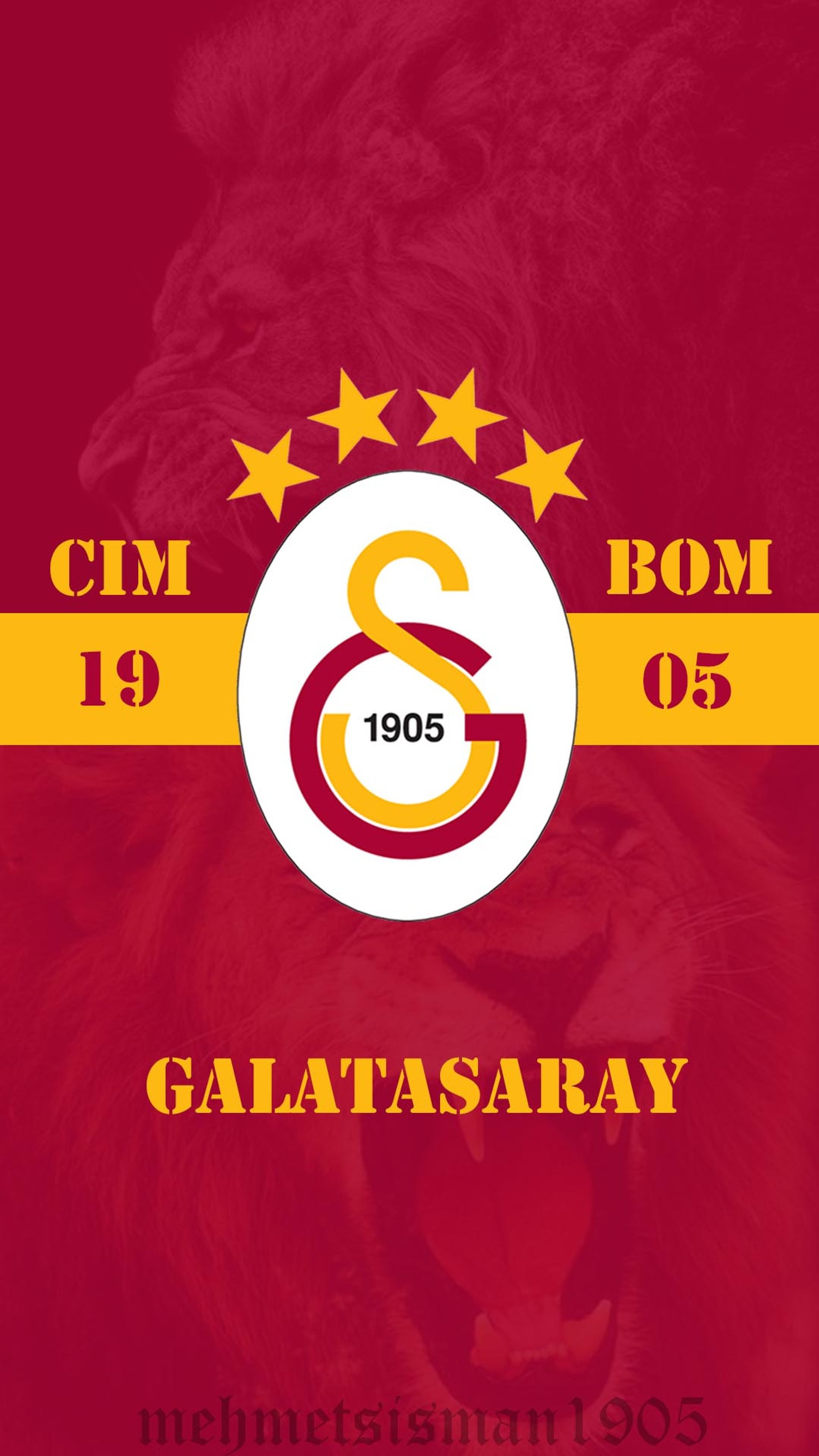 A close up of a lion with a star on its head (galatasaray, fenerbahce, besiktas, cimbom, gs)