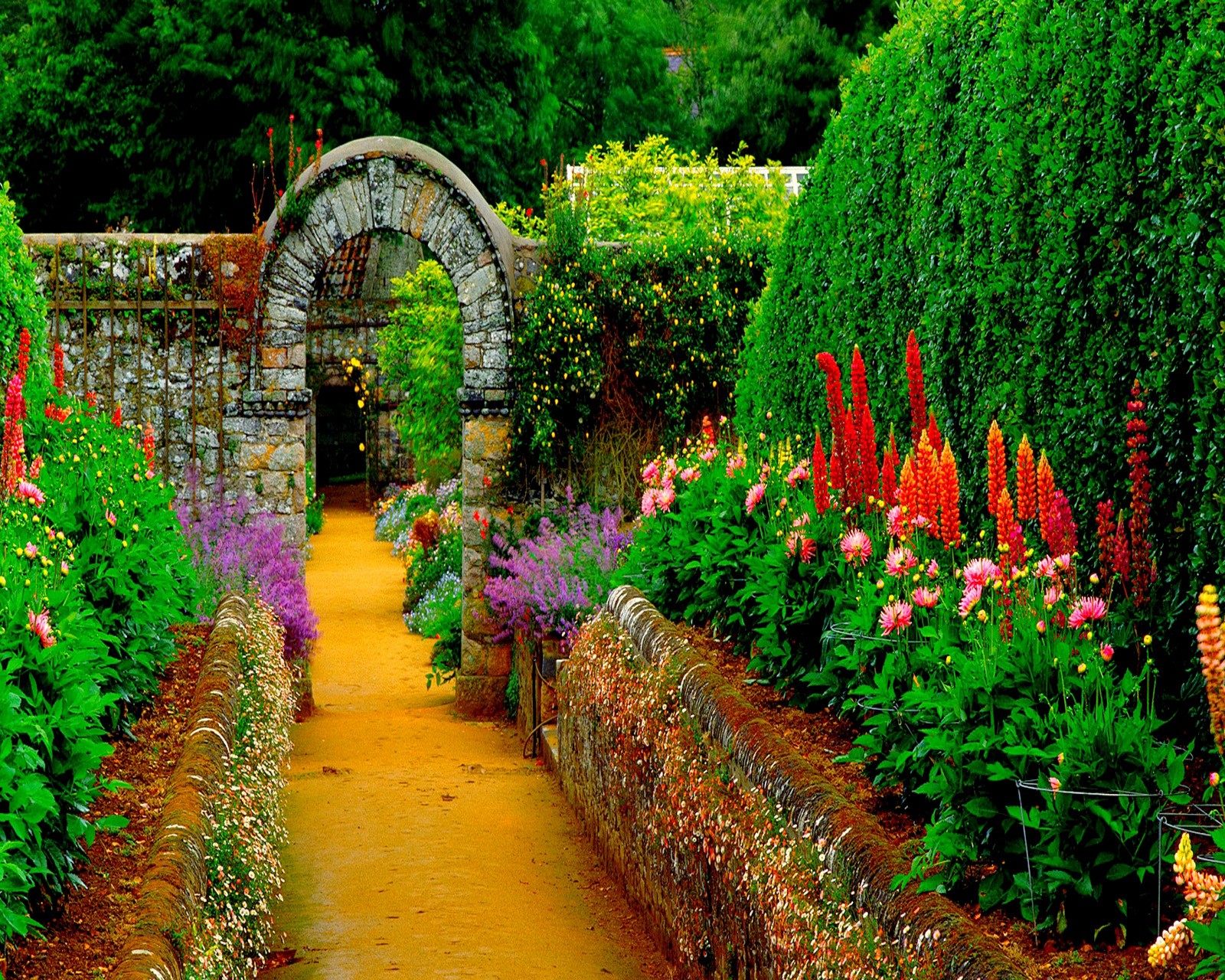 There is a pathway that leads to a garden with flowers (cute, look, nice)