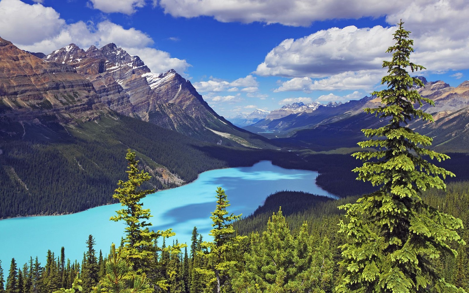 peyto lake, moraine lake, turquoise lake, banff, lake wallpaper