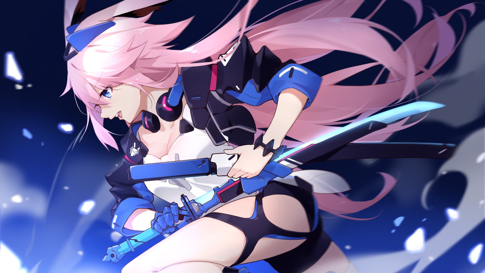 anime, girls, warrior, sword Download Wallpaper