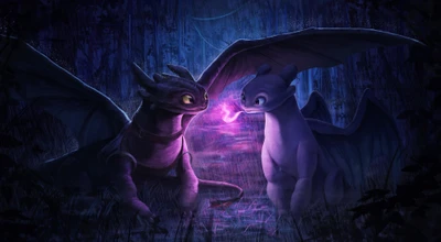 fureur nocturne, furie lumineuse, comment dresser votre dragon, how to train your dragon, graphismes cgi