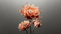 Peach Digital Flowers on a Grey Background