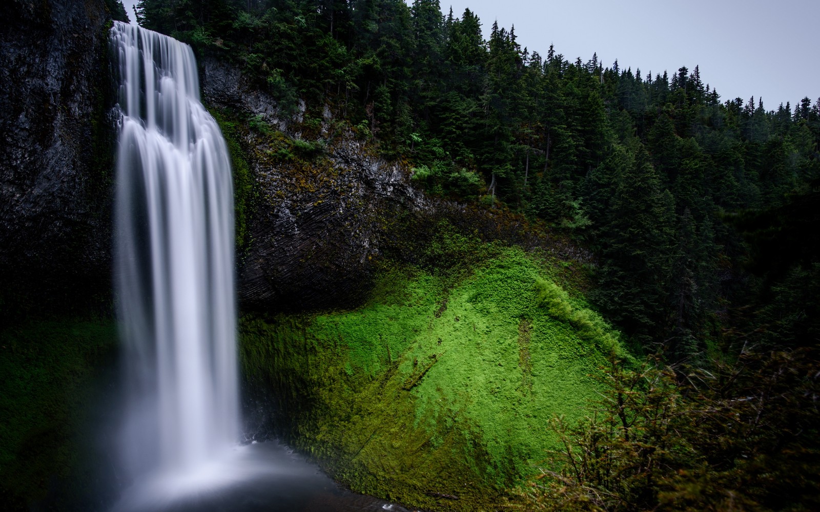 Um close-up de uma cachoeira com uma área verde coberta de musgo (cachoeira, natureza, corpo de água, recursos hídricos, água)