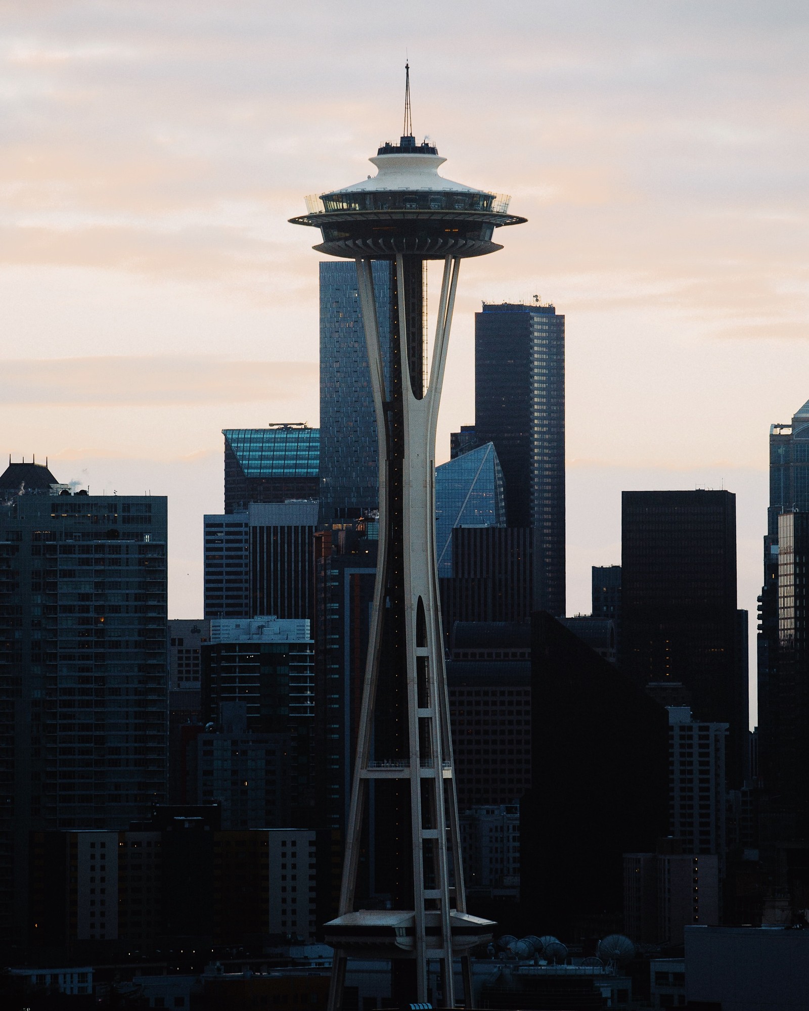 Girafes au premier plan d'un paysage urbain avec une haute tour (space needle, gratte ciel, bâtiment, nuage, tour)