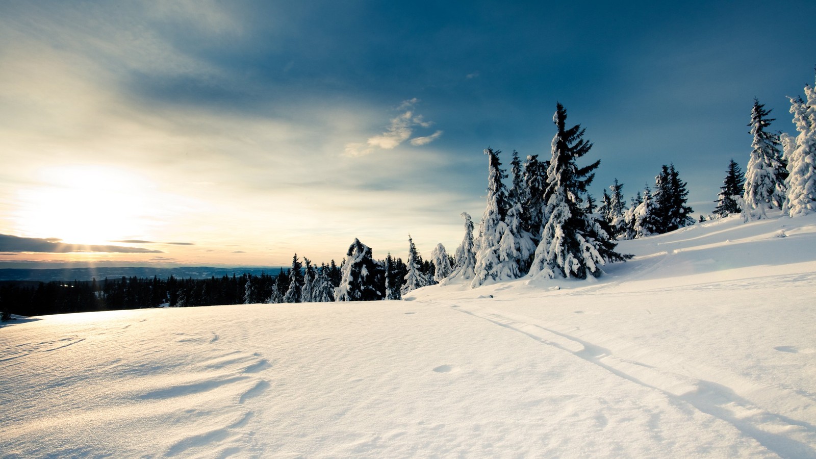 Vista de uma montanha nevada com árvores e um sol (inverno, neve, árvore, nuvem, congelamento)