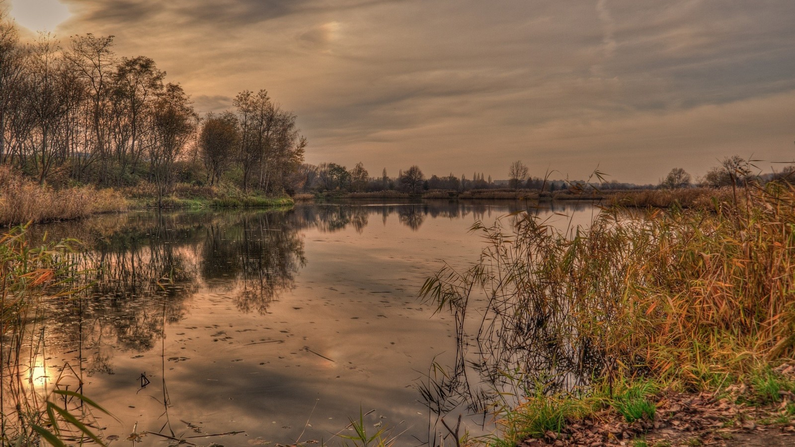 Vue aérienne d'un lac avec quelques arbres et de l'herbe (réflexion, nuage, eau, plante, ressources en eau)