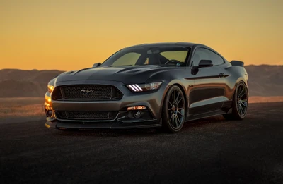 Élégante voiture de sport Shelby Mustang contre un fond de coucher de soleil, mettant en valeur son design musclé et ses jantes élégantes.