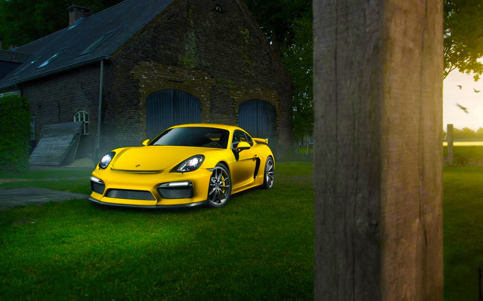 A close up of a yellow sports car parked in front of a barn (porsche, porsche boxster, car, 2016 porsche cayman gt4, porsche 718 cayman)