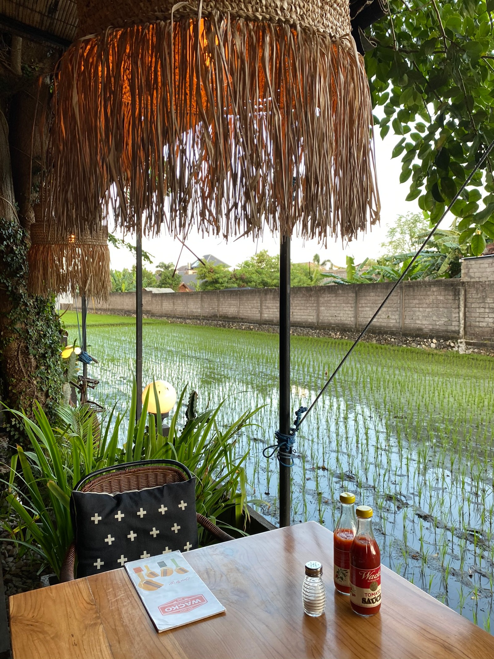 На столе стоит зонт и бутылка кетчупа (бали, bali, вода, пальмы, наука)