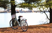 Bicicleta de outono ao lado do rio sob as árvores