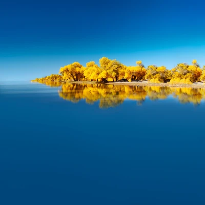 Serene Azure Reflection of Autumn Wilderness