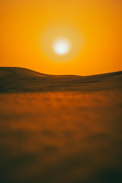 Goldener Horizont: Morgensonne über sandigen Dünen