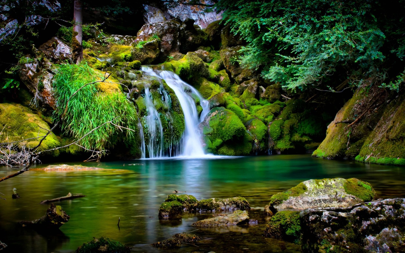 Uma cachoeira no meio de uma floresta com pedras cobertas de musgo. (beleza, natureza)