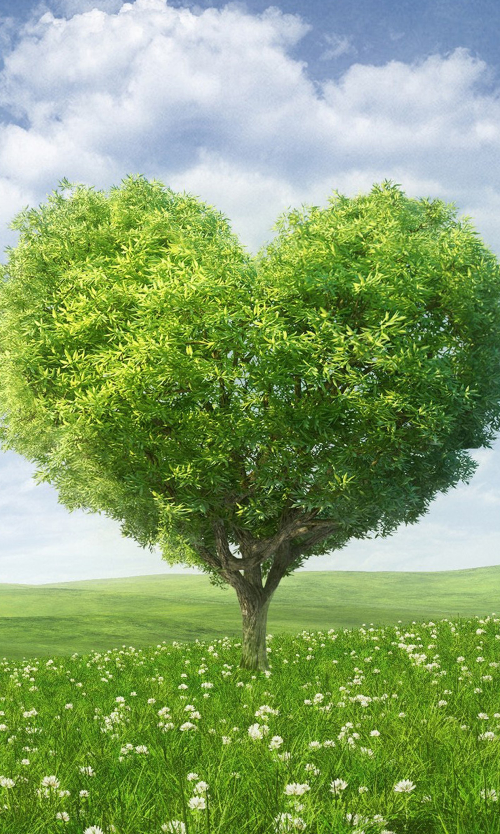 Un gros plan d'un arbre en forme de cœur dans un champ (heart shaped, paysage, nature, tree field)