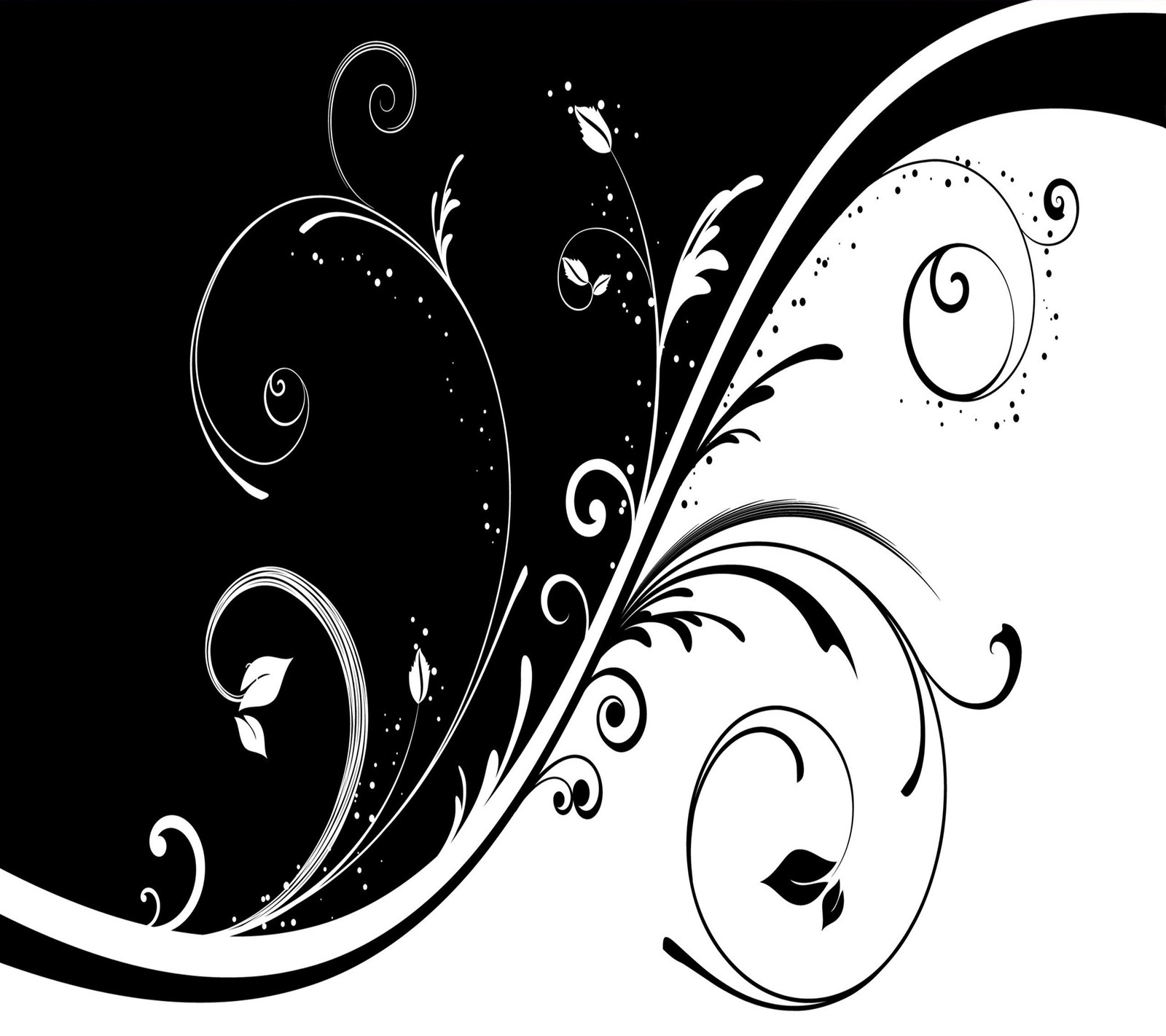 A black and white swirly design with a white background (abstract, black, design, floral, white)