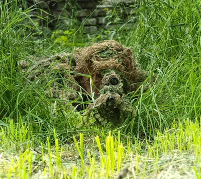 bosque, armas, disparar, francotirador, soldado