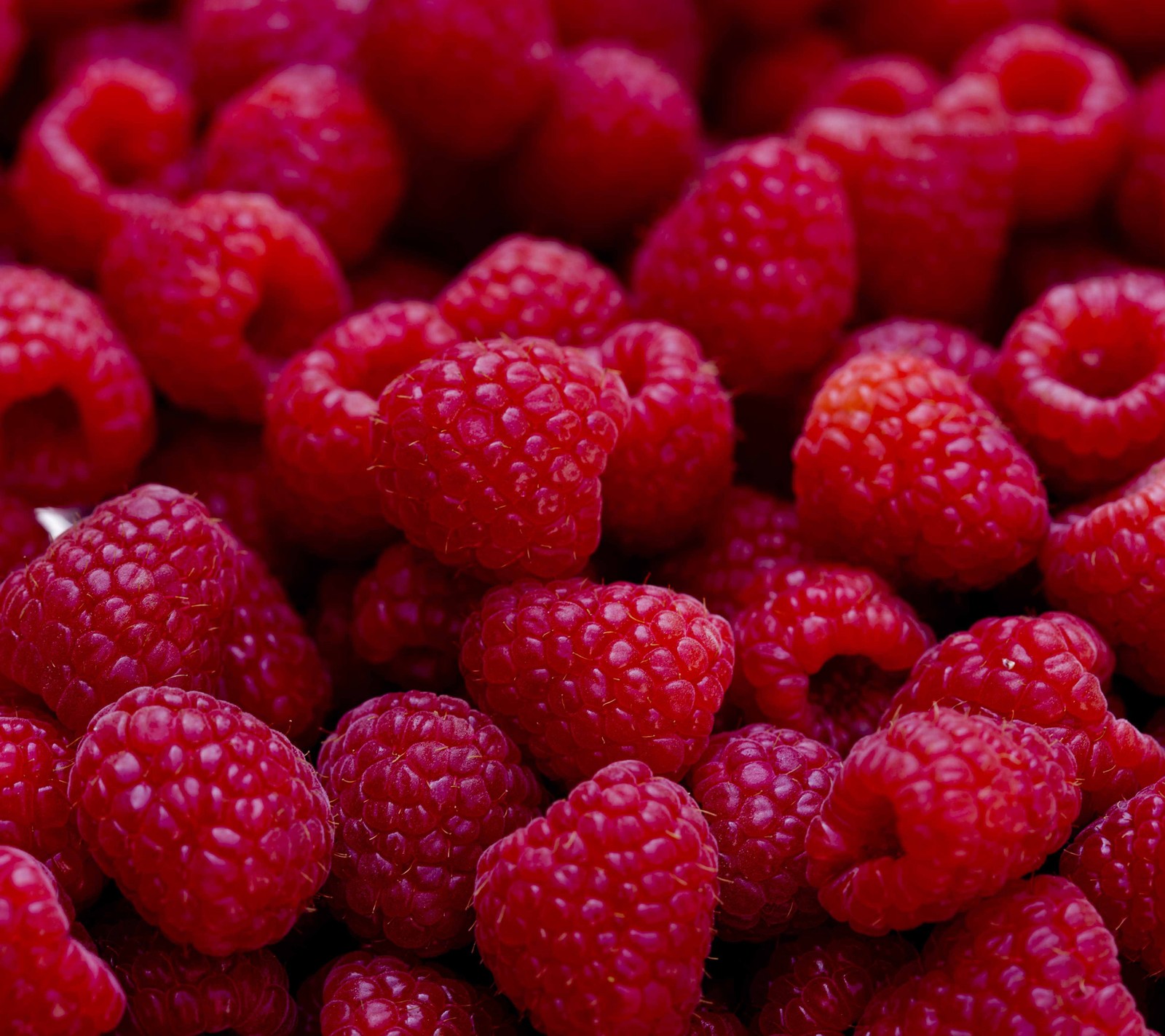 fresh, fruit, raspberries, red wallpaper