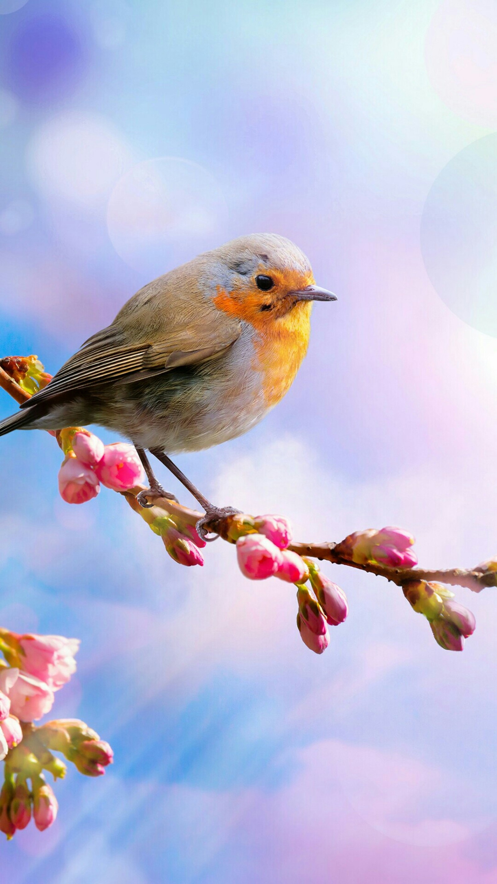 Ein vogel sitzt auf einem ast eines baumes (abstrakt, vogel, farbe, hd, magie)