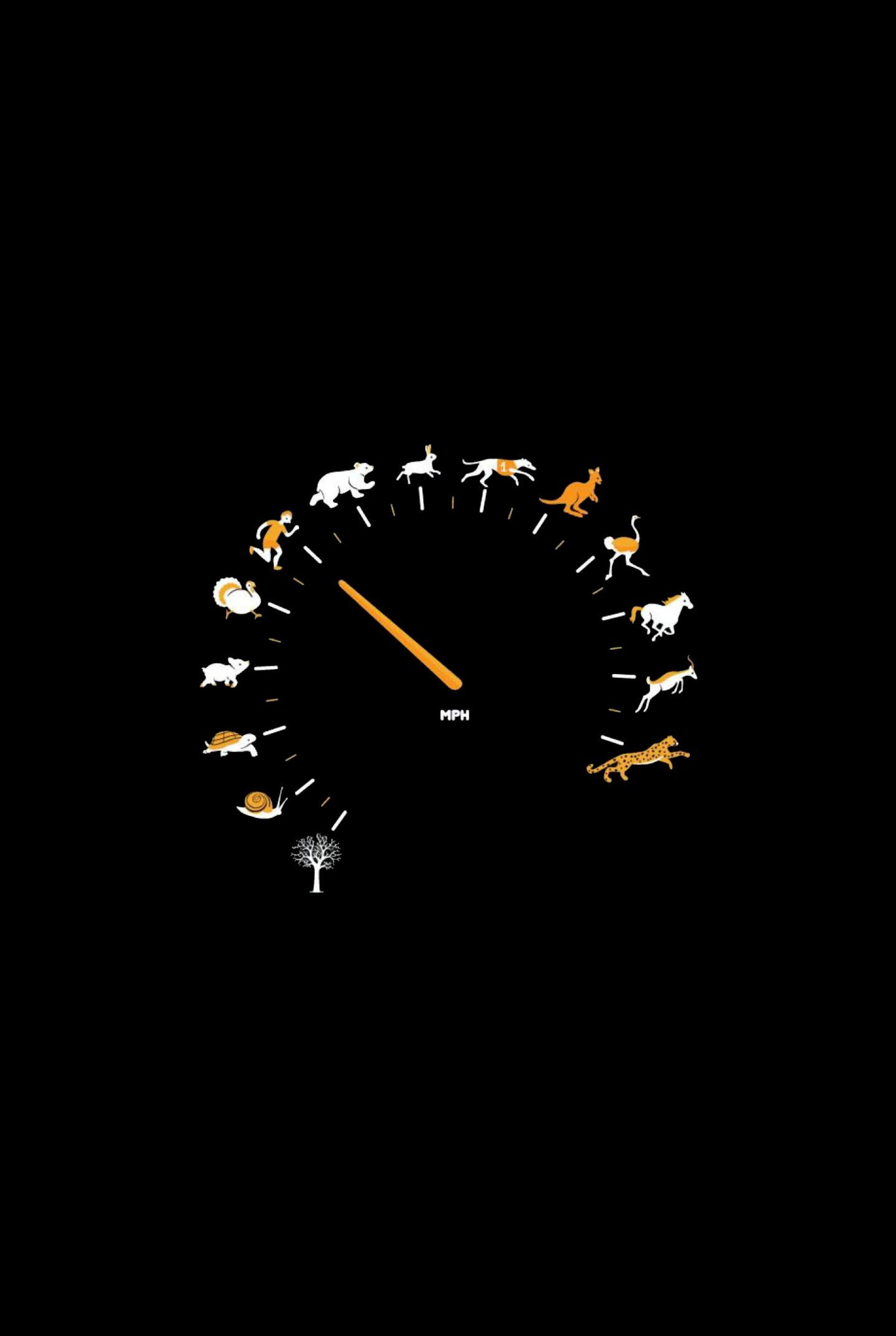 Un reloj con animales en la oscuridad (velocímetro, amoled, negro, iphone, metro)