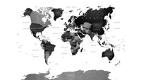 Carte du monde monochrome en noir et blanc