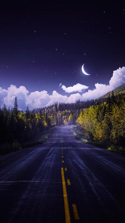 Serene Dusk Road Amidst Lush Nature and Starry Sky