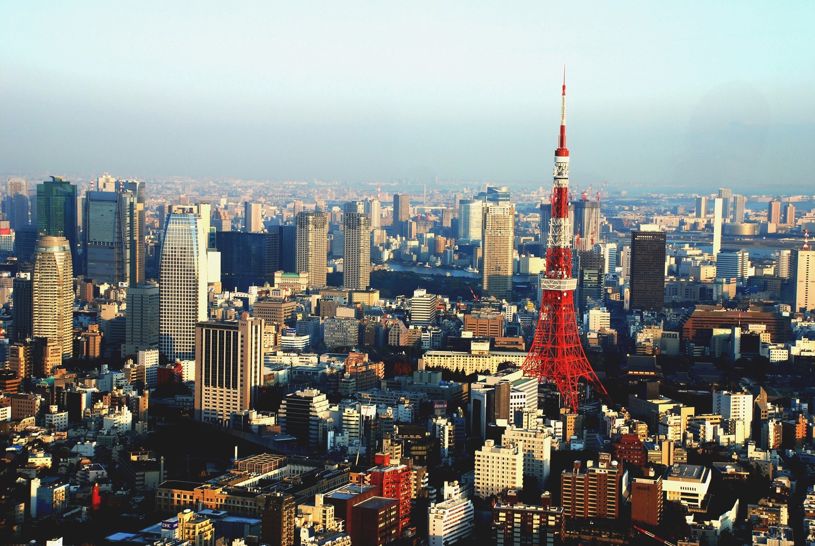 tokyo tower, city, cityscape, urban area, metropolis Download Wallpaper