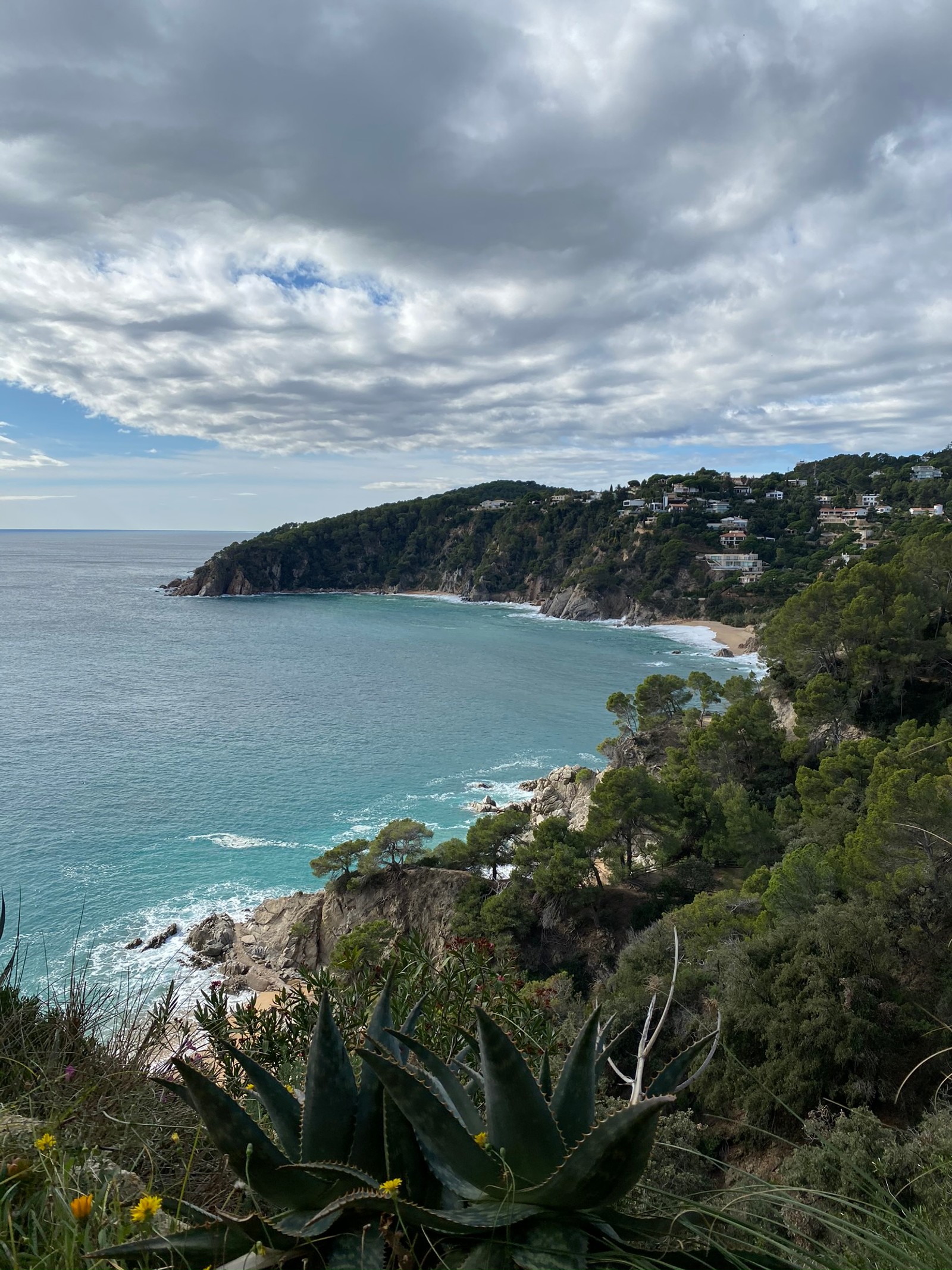 There is a view of a beach and a body of water (coast, vegetation, cloud, plant community, shore)