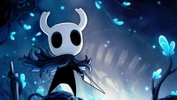 hollow knight, video game wallpaper