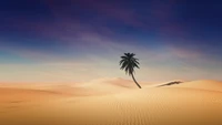 Lone Palm Tree Against Expansive Sand Dunes Under Clear Sky