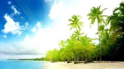 Tropisches Paradies: Sonniger Strand mit Palmen und azurblauem Himmel