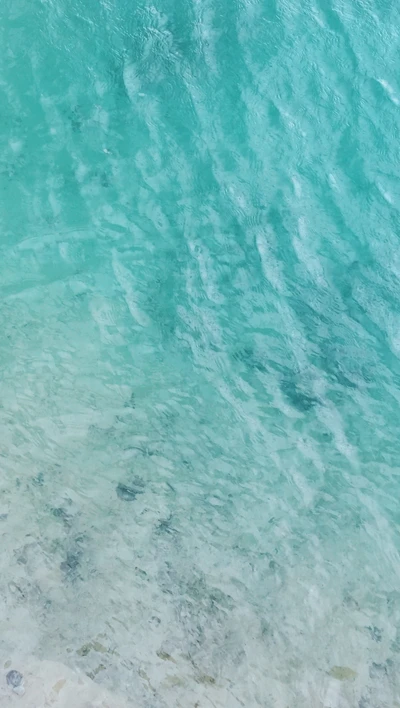 Calm Mint Green Waters of a Clear Lake