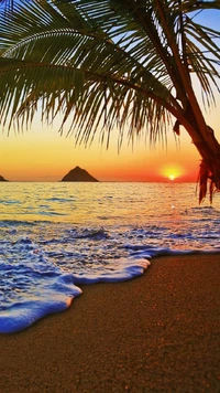 Tropical Sunset Paradise with Palms and Gentle Waves