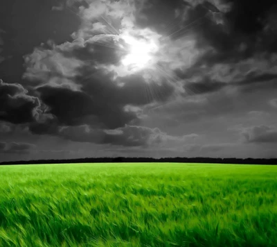 Dark Clouds Over Lush Green Fields