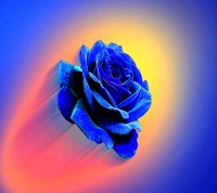 Vibrant Blue Rose Against a Gradient Background