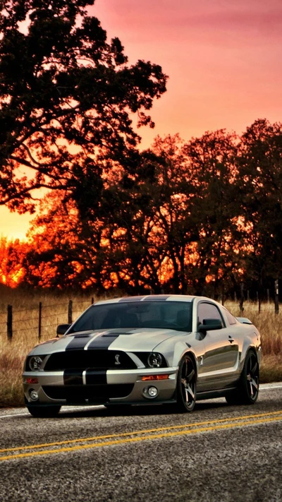 Ford Mustang Shelby au coucher du soleil sur une route ouverte