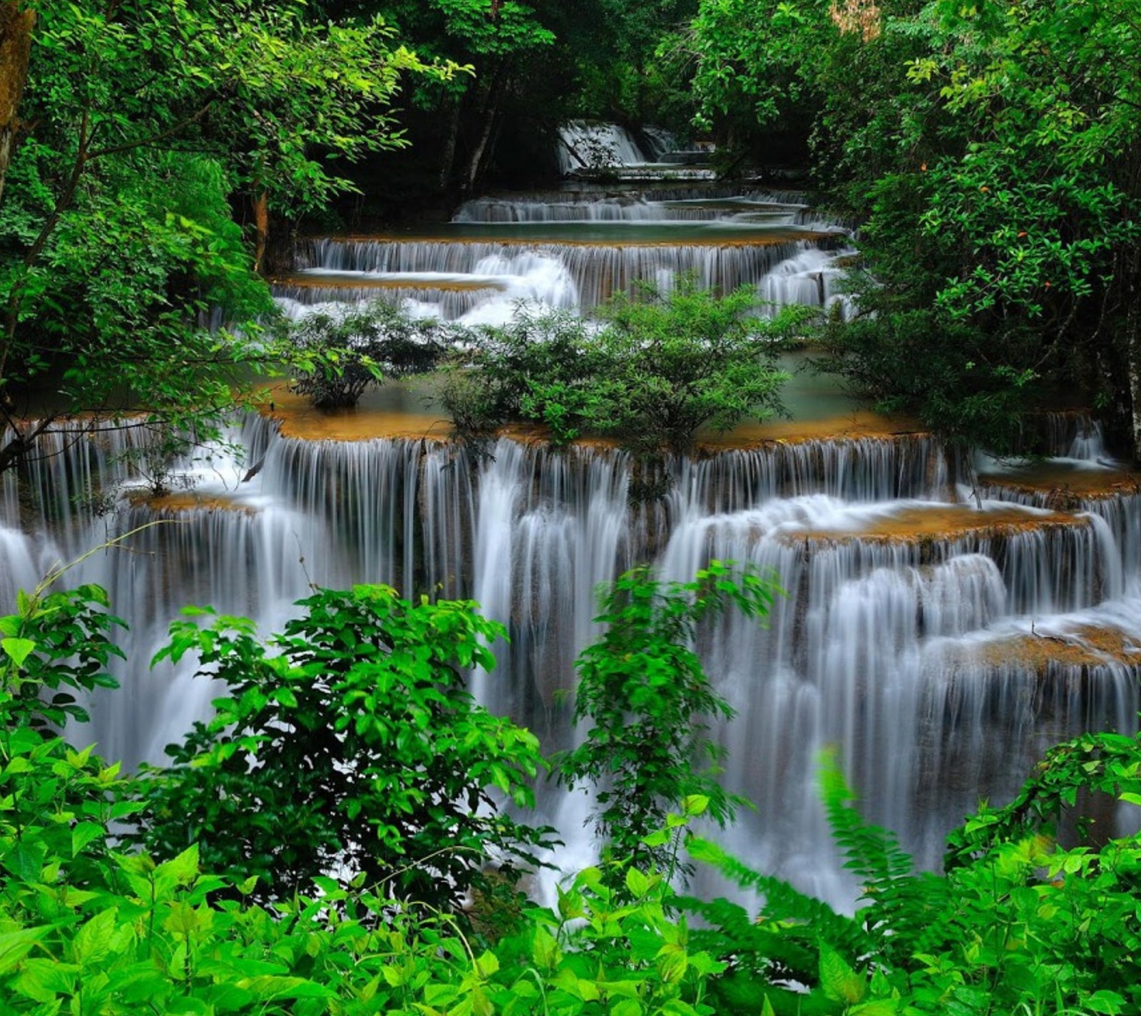 Una cascada en la jungla con mucha agua fluyendo sobre ella (bosque, verde, cascada)