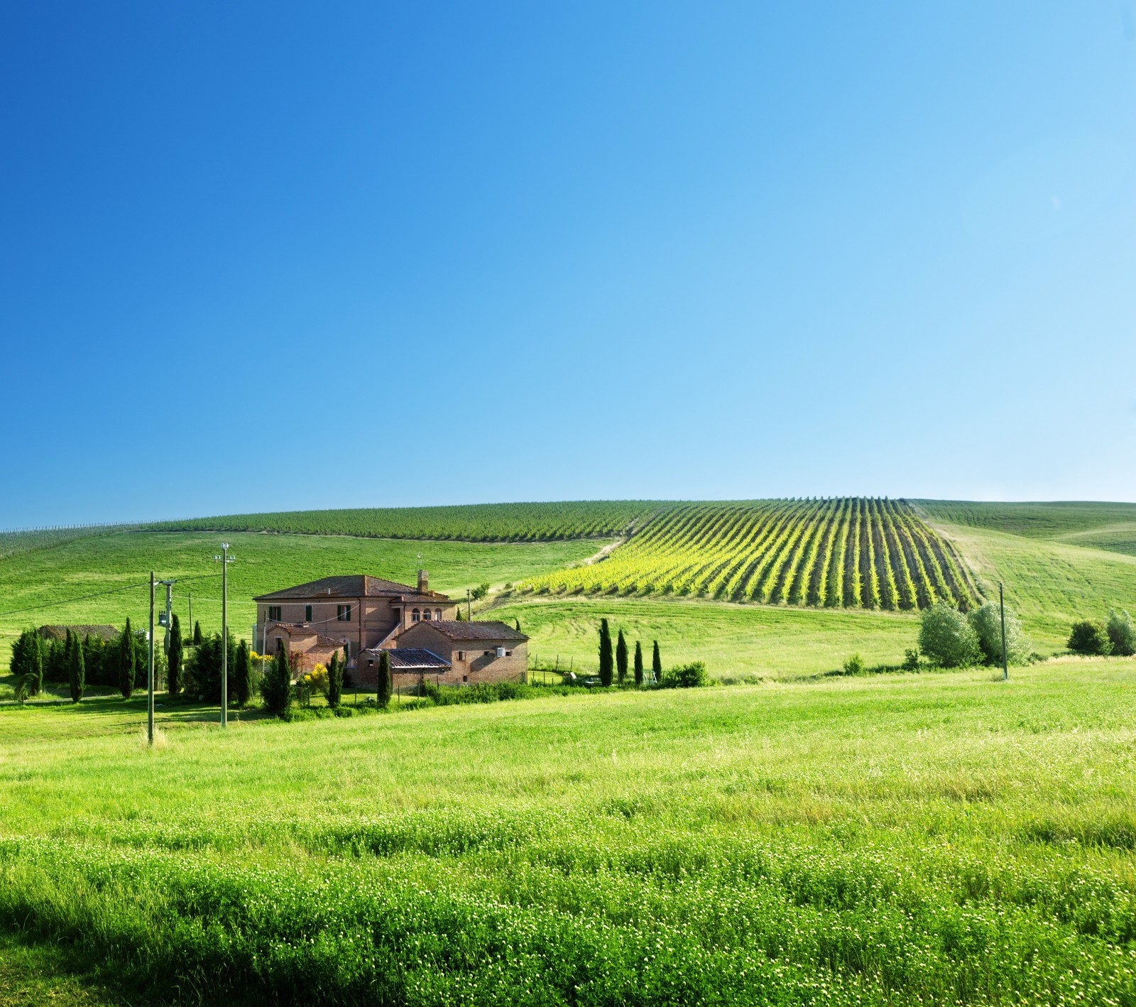 A view of a farm with a house in the middle of a field (hd, nature, nice, samsung galaxy s4, view)