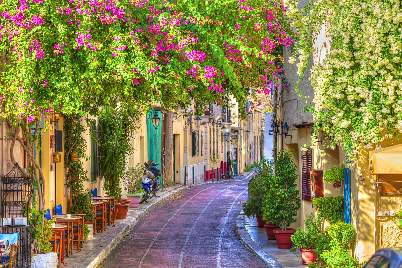 Uma vista de uma rua estreita com um monte de flores ao lado (bonito, grécia, natureza, caminho, rua)