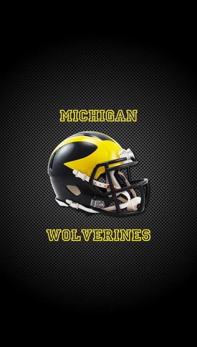 fußball, michigan, wolverine