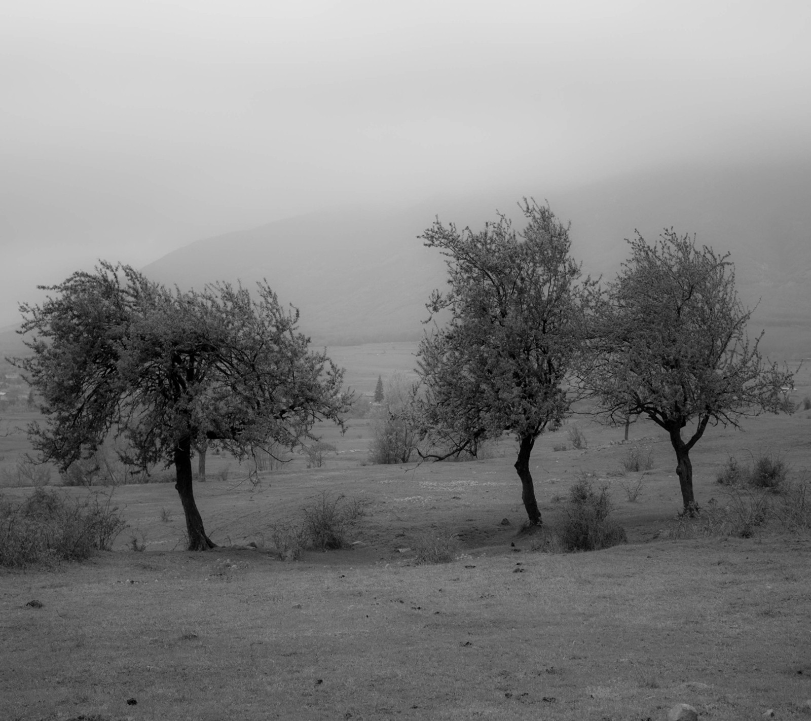 Téléchargez le fond d'écran et blanc, noir