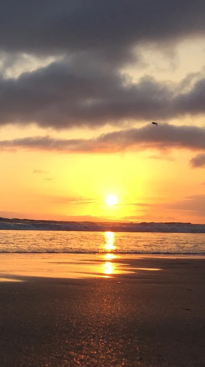 Sérénité du coucher de soleil sur la plage de Californie