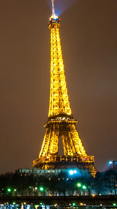 Eiffelturm bei Nacht beleuchtet in Paris, Frankreich