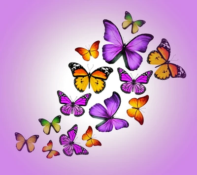 Colorful Butterflies on a Purple Background