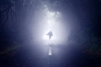 Mystical Pathway: Embracing Light and Mist in Nature's Embrace