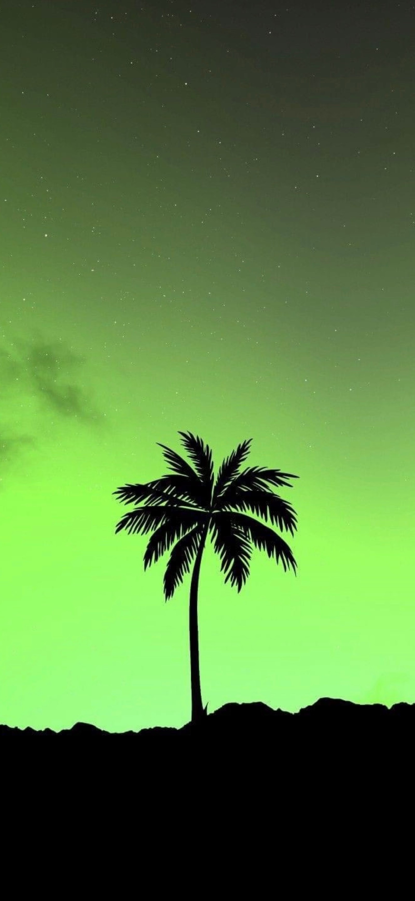 Un palmier isolé au premier plan d'un ciel vert (atmosphère, lumière, nature, noir, paysage naturel)