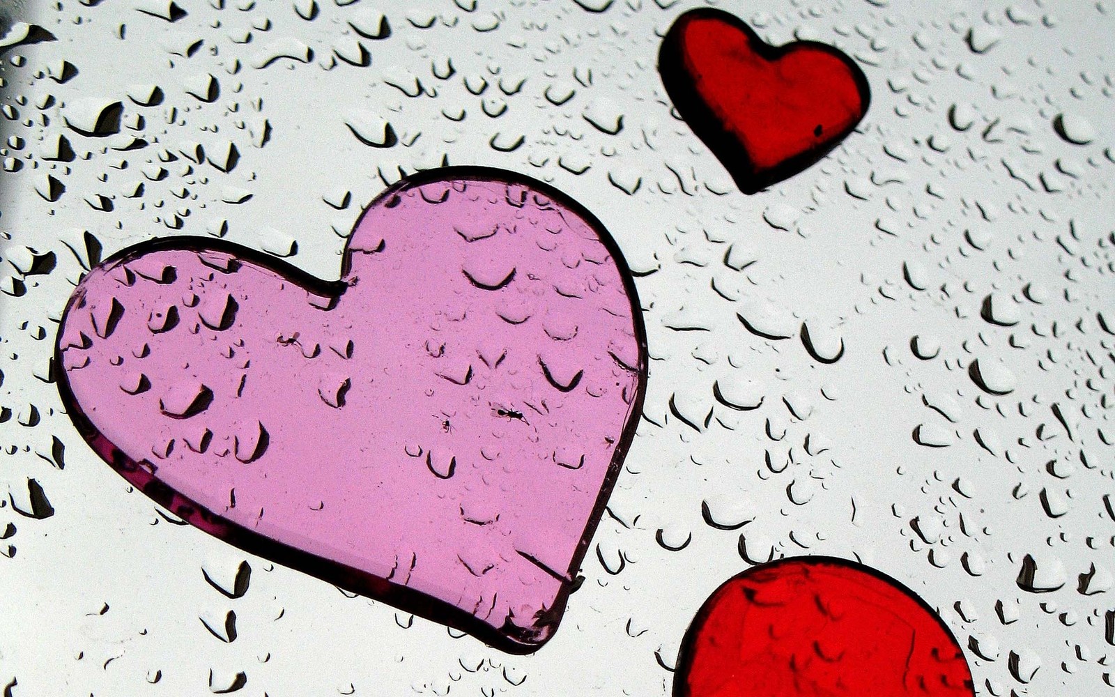 Il y a deux cœurs sur une fenêtre de pluie avec des gouttes d'eau (cœur, rouge, amour, rose, saint valentin)