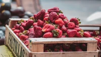 Freshly picked strawberries in a rustic wooden basket, showcasing vibrant red berries in a public market setting.