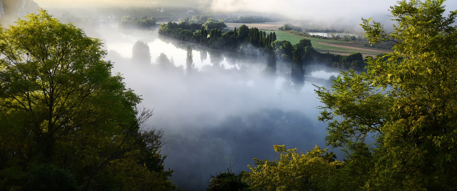 Uma vista de um rio com árvores e neblina ao fundo (natureza, névoa, água, reserva natural, árvore)