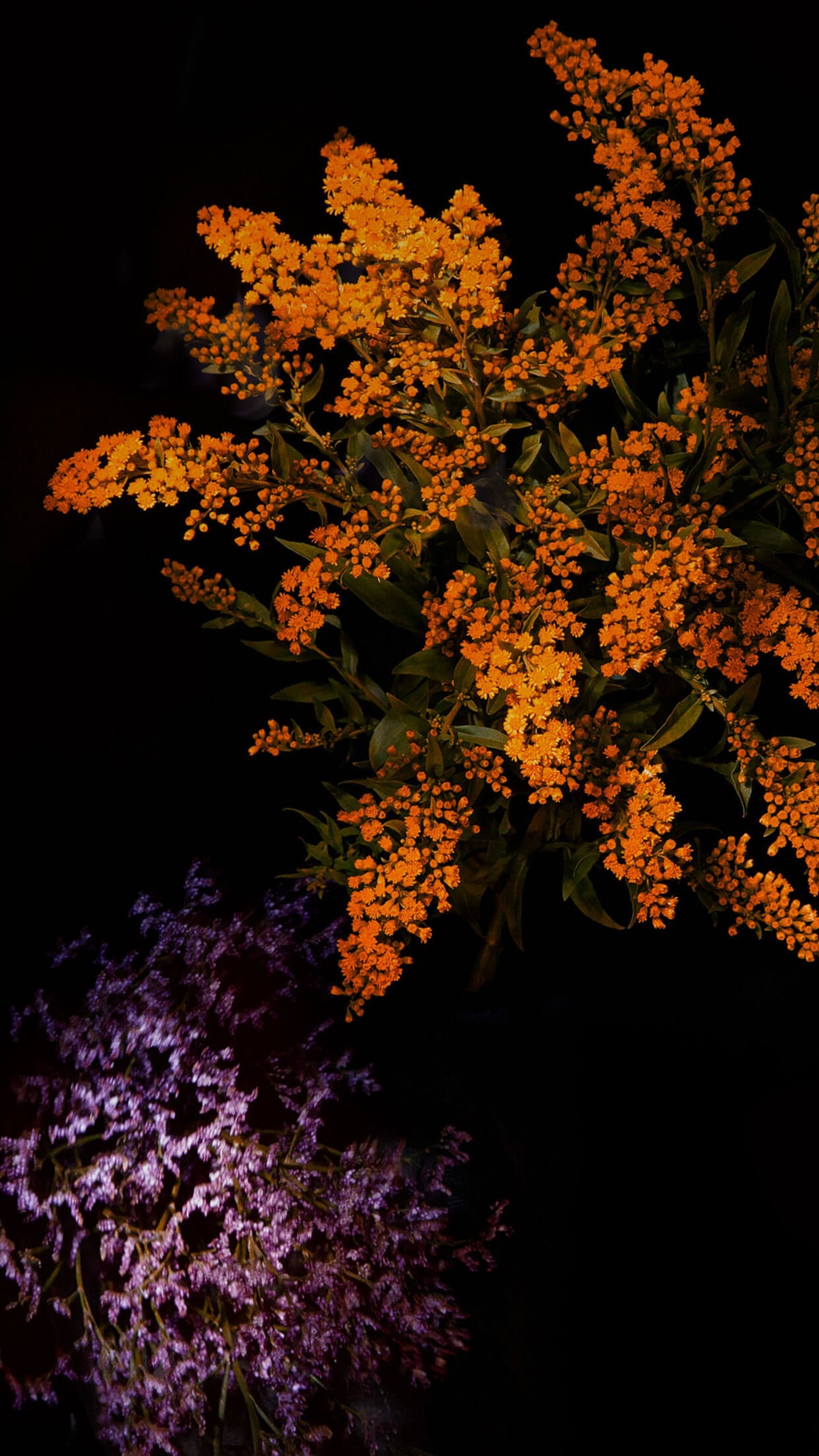 Il y a deux vases avec des fleurs sur une table (pomme, ios 10, iphone, pommes, ios 9)